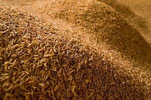 Cosse de riz, husût de riz, 30 rouleaux - Product Image 4