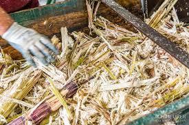 Mélasse de canne à sucre séchée/ Vente chaude 2021 Mélasse séchée de haute qualité en poudre Vietnam - Product Image 3