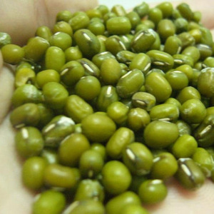 Cheap Dried Bulk Green Mung <b>Beans</b> From South Africa with Best Price - Product Image 5