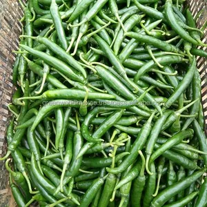 Harga Murah Teratas dari VIETNAM : BEAUTYFULL FROZEN GREEN CHILLI: Panas dan Pedas Alami, Terbaik untuk Makanan Pedas