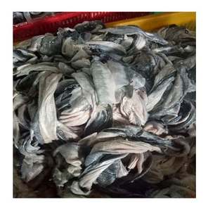 ผิวปลาดุกในปริมาณมากในราคาที่ดีที่สุด - Product Image 6