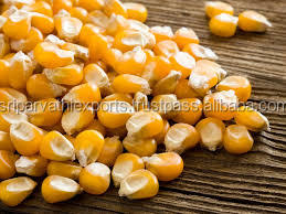 Alimento para animales, alimento de maíz amarillo para alimentación de ganado de pollo - Product Image 2