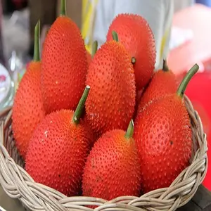 Gac Fruit - Momordica Cochinchinensis, la mejor fruta humana