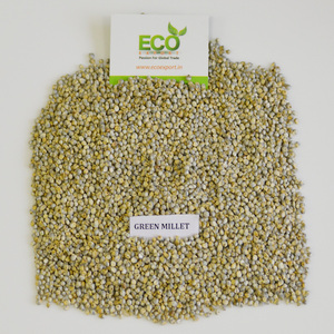 ลูกเดือยสีเขียวเกรดสูงสำหรับการบริโภคของมนุษย์ - Product Image 2