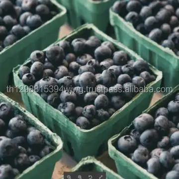 Dâu Tươi Hạng A, Quả Mâm Xôi, Quả Elderberries, Quả Việt Quất, Quả Việt Quất, Quả Mâm Xôi, Blackcurrant,