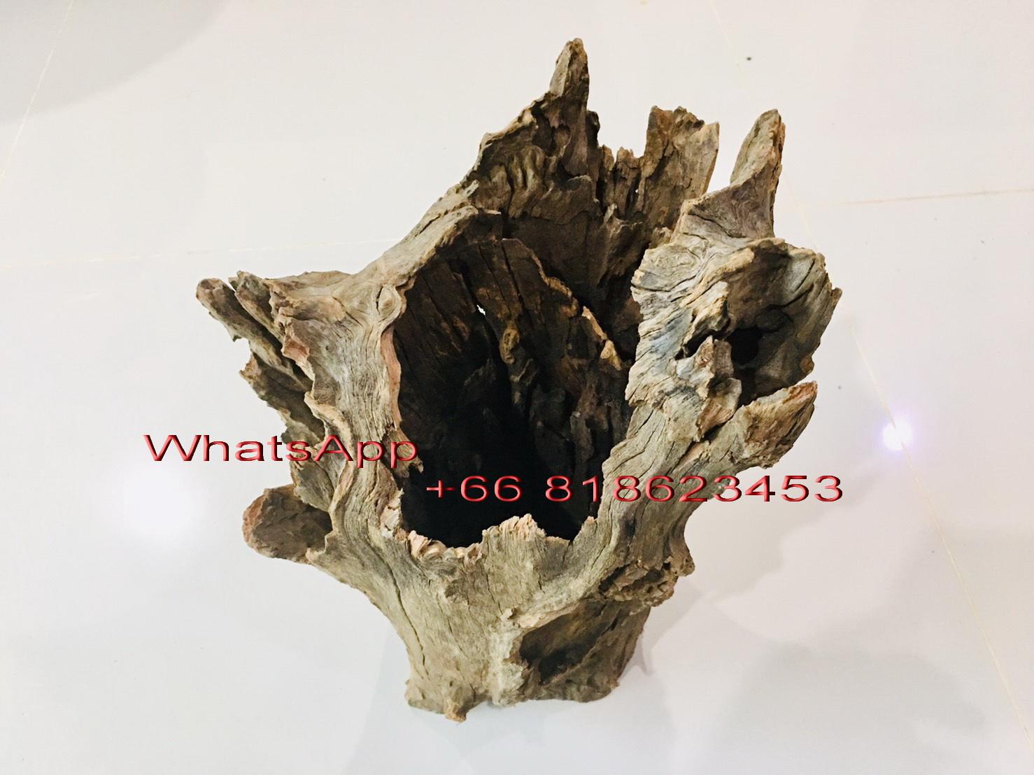 ธรรมชาติ