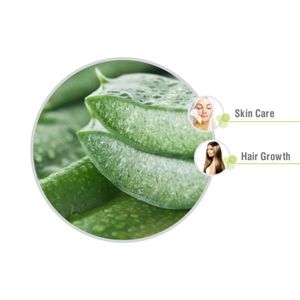 Fabricant d'huile végétale de gel d'aloe vera pressé à froid certifiée GMP, OEM/ODM en Inde - Product Image 2