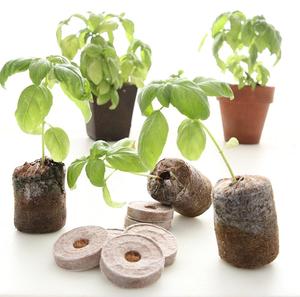 มะพร้าวมะพร้าว Cocopeat,ต้นมะพร้าว,เม็ดมะพร้าว - Product Image 1
