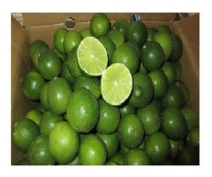CITRON LIME SANS GRAINES DU VIET NAM DE BONNE QUALITÉ MEILLEUR PRIX POUR LA VENTE EN GROS - Product Image 2