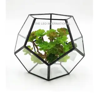 clear glass terrarium globe