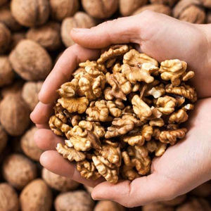 Nueces Secas Naturales de la Mejor Calidad, Grado A, Empaque de 10 kg, Precio Económico al por Mayor - Product Image 1