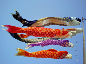 Windsock carp FLAG-Sailfish WIND-Sailfish Fish WIND - Product Image 5