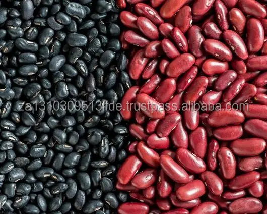 高品質の斑点のある光、赤、黒、白のインゲン豆