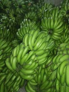 Plátanos Cavendish Frescos de Vietnam en 2022 - Product Image 6