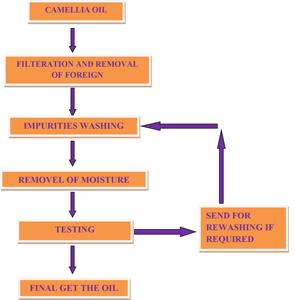 อาหารเกรดสุขภาพน้ำมัน Camellia ผู้จัดจำหน่ายน้ำมันเมล็ดและส่งออกที่มีฉลากส่วนตัวในกลุ่ม - Product Image 5