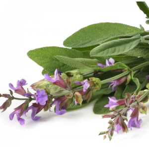 Hydrolat de Sauge Sclarée Pur Naturel, Eau Florale Liquide Distillée à la Vapeur, Certifié BPF, Pureté Chinoise, Fleurs et Feuilles, Incolore - Product Image 1