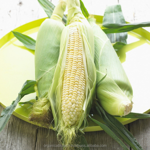 Estimulador de crecimiento vegetal, fertilizante orgánico, estiércol de pollo - Product Image 4