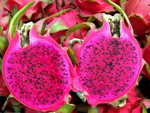 PRODUIT VIETNAMIEN DE FRUIT DU DRAGON ROUGE/BLANC FRAIS/PITAYA - Product Image 3