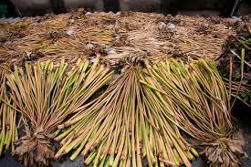 Feuilles de palmier séchées brunes de haute qualité du Vietnam et jacinthe d'eau séchée (whatsapp +84-911-585-628) - Product Image 2