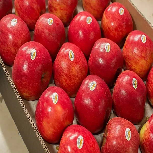 2018 חדש טרי פירות אדום תפוחי פוג 'י למכירה