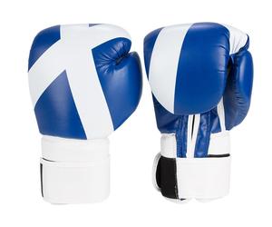 Guantes de boxeo con logotipo personalizado de marca propia para práctica de artes marciales - Product Image 1
