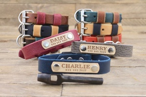 Colores personalizados de cuero hecho a mano Collar de perro con sólido latón oro Pet personalizado etiqueta WDS-0153 - Product Image 3