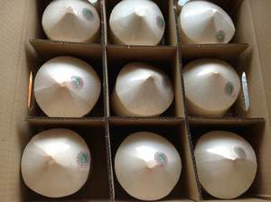 Noix de coco fraîche de haute qualité, prix populaire du vietnam - Product Image 3