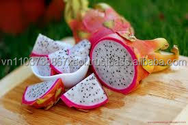 Fruta de dragón/exportación a granel, gran calidad - Product Image 3