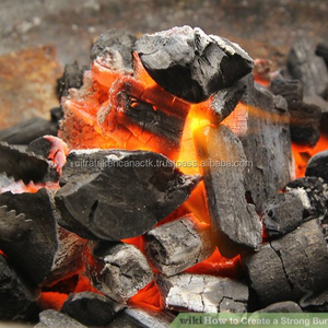 CHARCOAL COCONUT CHARCOAL BBQ GRILL THE BEST IN MOSCOW RUSSIA - Product Image 1