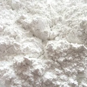 Light Calcium Carbonate Light Calcium Carbonate High Quality Calcium Carbonate CACO3 for sale at a cheap price