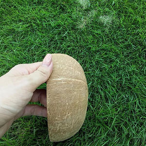 GIA NGUYEN Vietnam Ben Tre - Cáscara de Coco al por Mayor, Materia Prima Extra Gruesa con 10% de Humedad para la Producción de Carbón Vegetal - Product Image 3