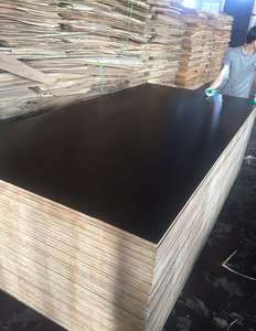 ไม้อัดสองหน้าเคลือบฟิล์มสำหรับงานแบบหล่อ หนา 11 มม. เกรด E2 ระดับพรีเมียม สำหรับตลาดมาเลเซีย - Product Image 1