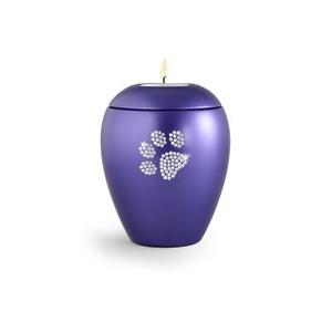 Mascota gato Odyssey urna - Product Image 3