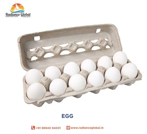 Huevos de Gallina Blancos de la Mejor Calidad - Product Image 3