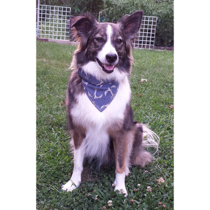 100% algodón puro perro Bandana vestido de perro estampado para invierno Primavera Verano Ombre Color aplicación para mascotas - Product Image 4