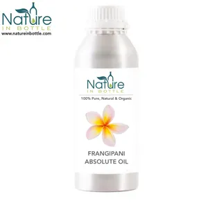 Frangipani orgânico-branco plumeria definitiva | plumeria alba-puro e natural assotos-preço a granel por atacado