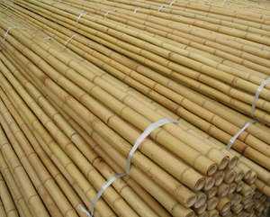 Vietnamese <b>Bamboo</b> <b>Canes</b>/Poles for Decoration Whole Application Long Pattern - Product Image 3