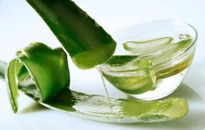 Aloe Vera Nata de Coco Biologique Sans Couleurs Artificielles Prix de Stockage Congelé - Product Image 5
