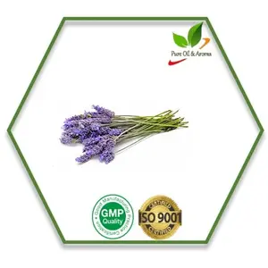Groothandel Prijs Exporteur Voor Import Lavendel Essentiële Olie