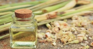 Aarnav Global Exports Aceite de Limón Orgánico (Aceite Esencial Puro) Extracto de Cáscara Prensado en Frío Proveedor y Exportador a Granel - Product Image 6