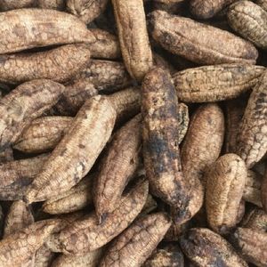 Seca NATURAL MUSA ACUMINATA/salvaje BANANA de VIETNAM - Product Image 4