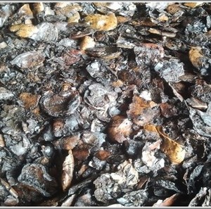 Cáscara de Anacardo de la Mejor Calidad en Vietnam - Product Image 4