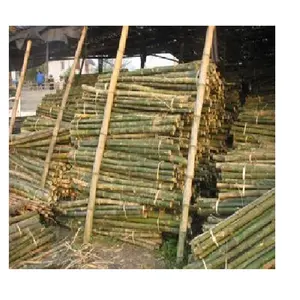 Die hochwertigen Bambus stangen