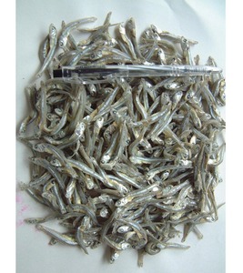 Anchoa seca sin conservantes de Vietnam-Espadín pequeño seco - Product Image 3