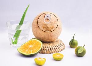 FACILE À OUVRIR FRAIS JEUNE NOIX DE COCO/FRAIS JEUNE NOIX DE COCO - Product Image 4