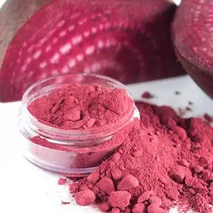 Supplier of 100% Pure Beta Vulgaris Powder from India