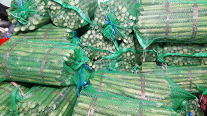 Fournisseur canne à sucre congelée - Product Image 3