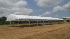 เต็นท์โครงอะลูมิเนียมขนาด 20x50 เมตร - Product Image 2