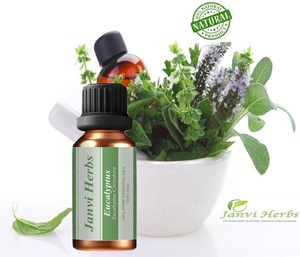 Aceite esencial de eucalipto de grado terapéutico Natural puro 100%, aceite de aromaterapia para alivio respiratorio, masaje, líquido para el cuidado de la piel - Product Image 1