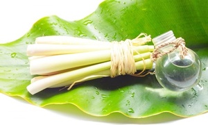 Vente en gros de poudre de citronnelle du VIETNAM - Product Image 5